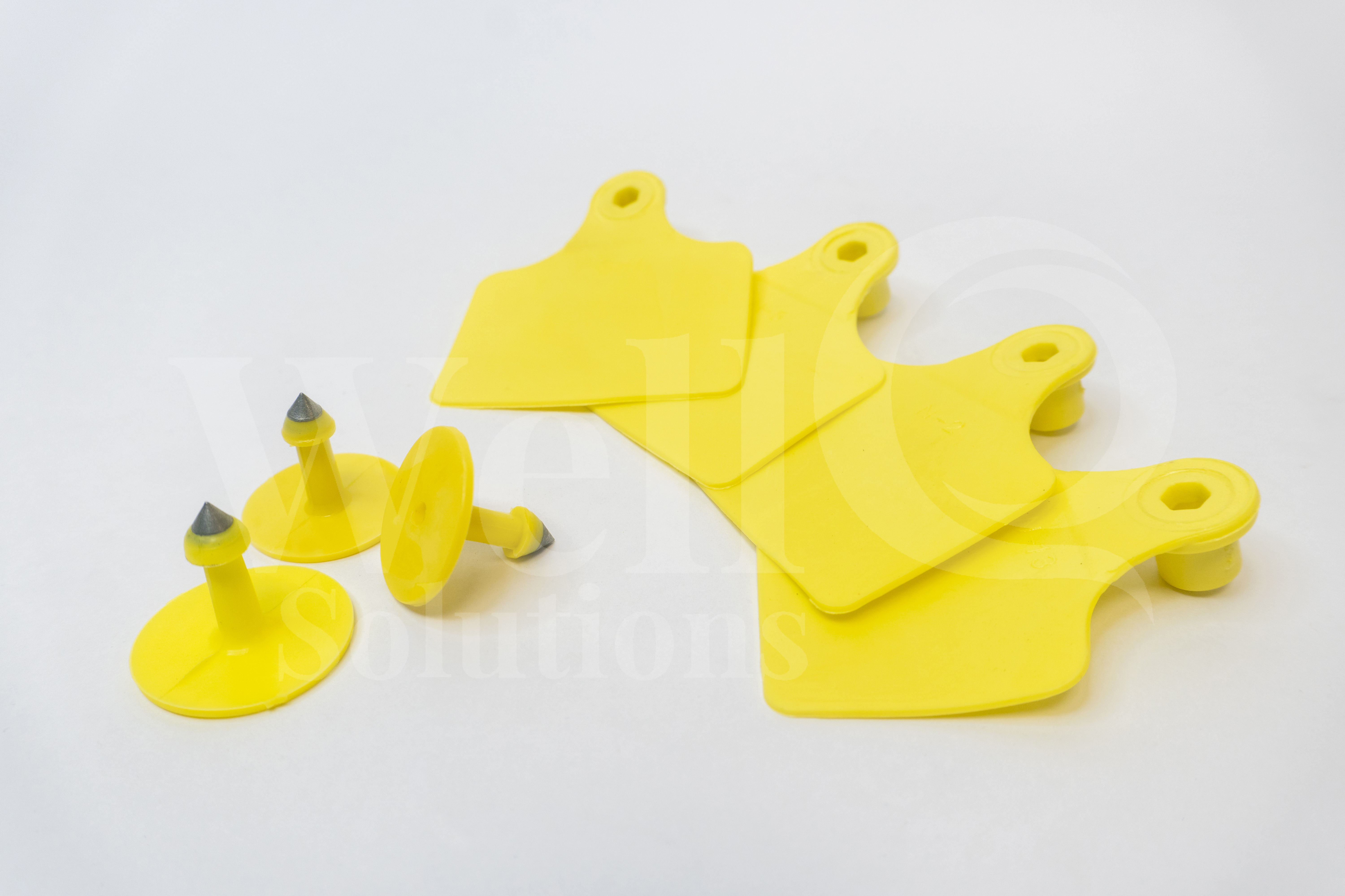 Animal Identification